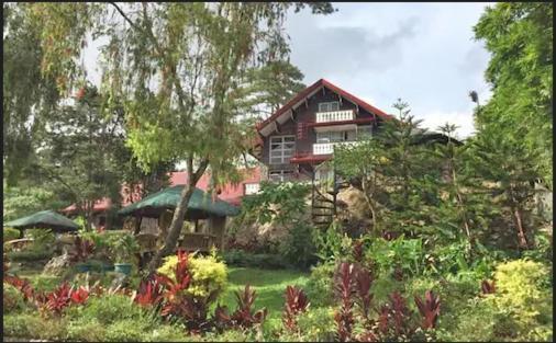 Log Cabin Hotel - Baguio Baguio City Exterior photo
