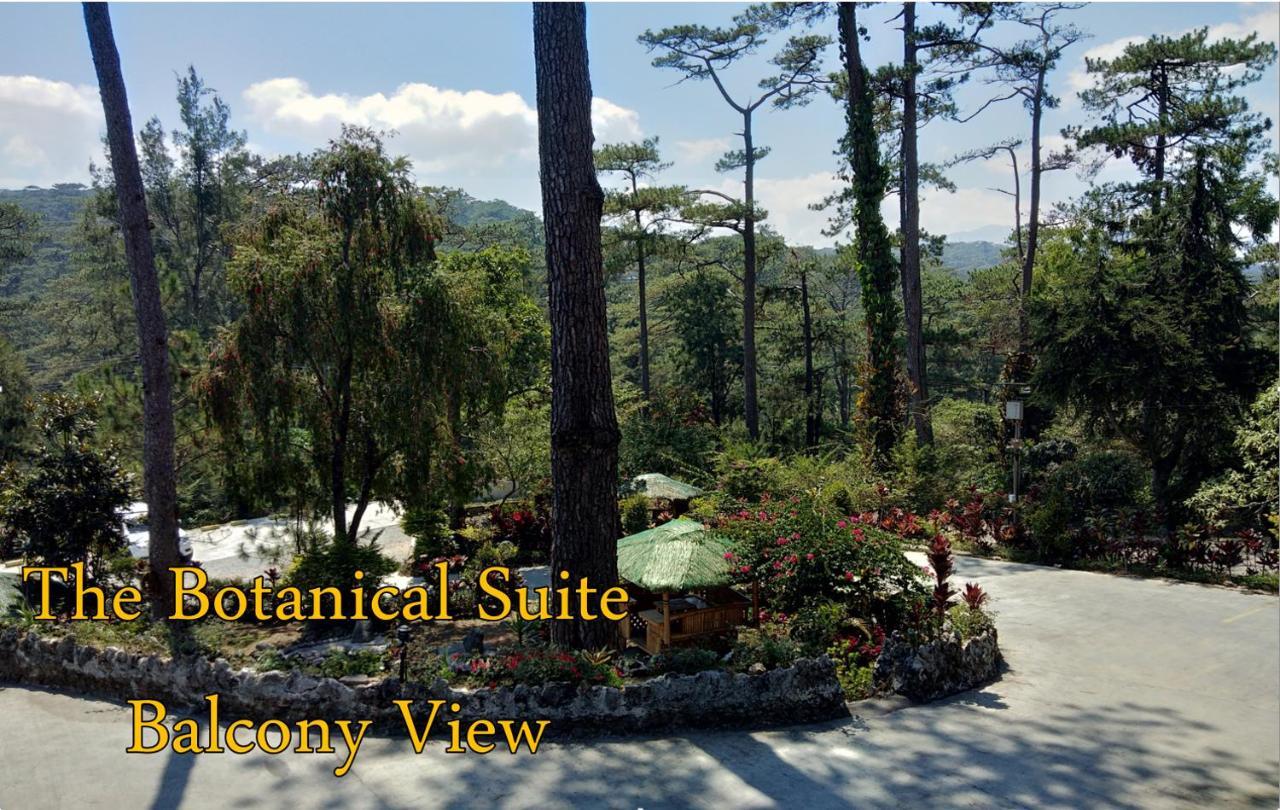 Log Cabin Hotel - Baguio Baguio City Exterior photo